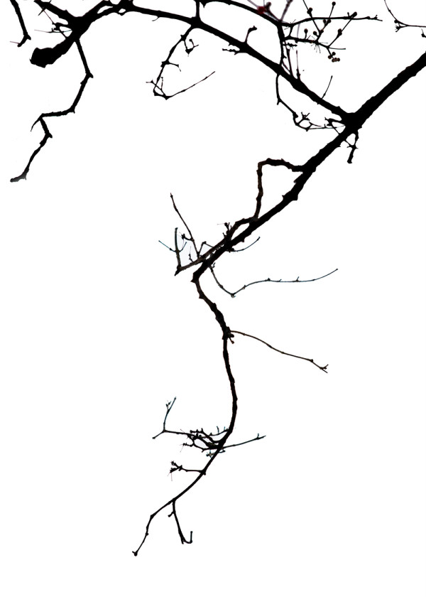 95f4c913e6e674c9a794aa627b6e0a3e_1758445448_9762.jpg