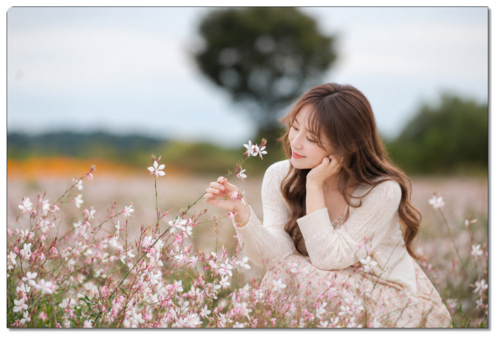 Yeoju Daesinseom Cosmos …